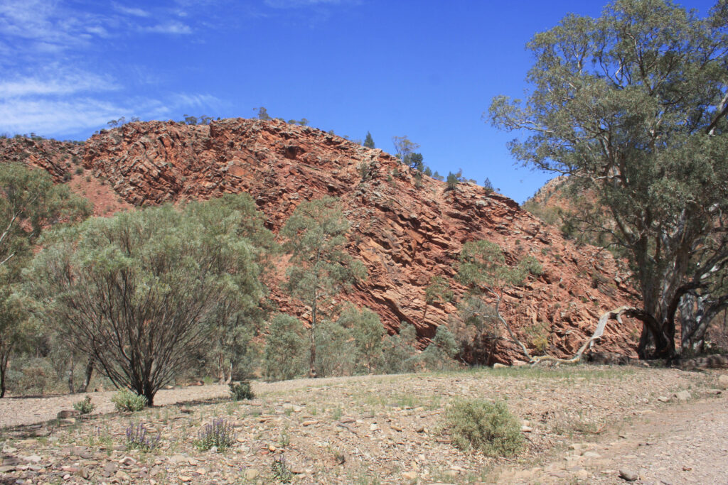 Brachina Gorge